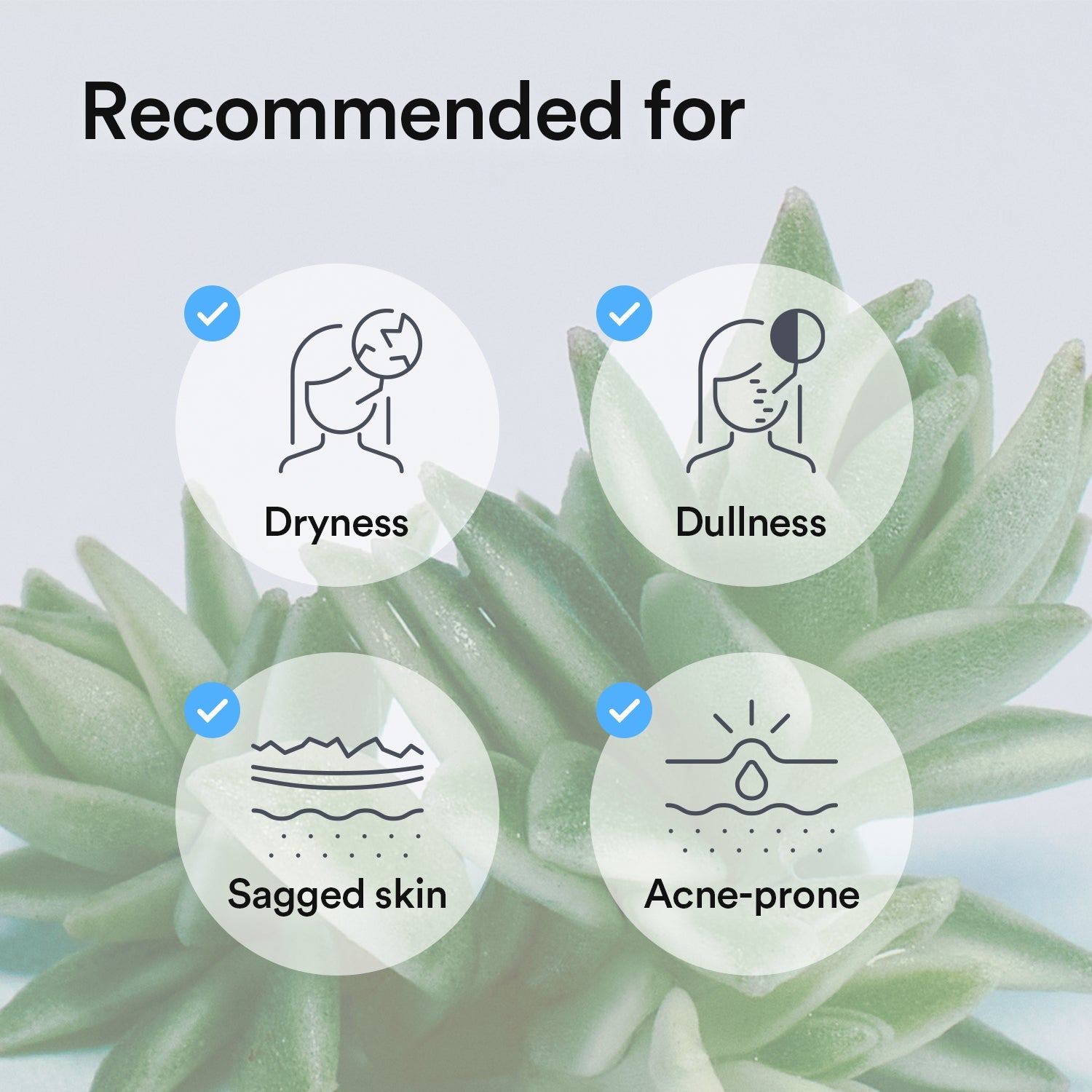 Abib - Collagen Gel Mask